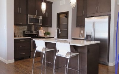 Lifespans of Appliances in the Home