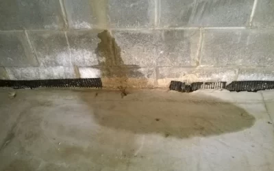 Tips for Preventing Basement Water Intrusion